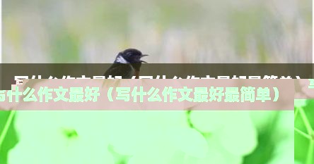 写什么作文比较好写（写什么作文更好写）