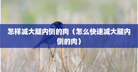 怎样减大腿内侧的肉（怎么快速减大腿内侧的肉）