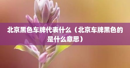 北京黑色车牌代表什么（北京车牌黑色的是什么意思）