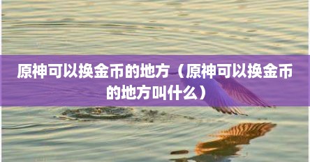 原神可以换金币的地方（原神可以换金币的地方叫什么）