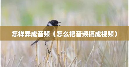 怎样弄成音频（怎么把音频搞成视频）