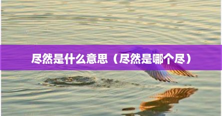 尽然怎么读音（尽然是什么词）