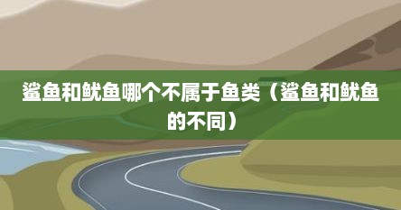 鲨鱼和鱿鱼哪个不属于鱼类（鲨鱼和鱿鱼的不同）