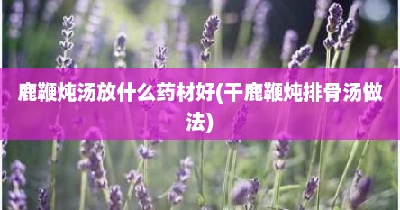 鹿鞭炖汤放什么药材好(干鹿鞭炖排骨汤做法)