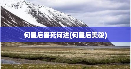 何皇后害死何进(何皇后美貌)