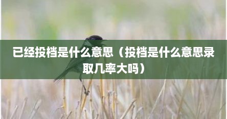 已投档是什么意思多久能出结果（已经投档是什么意思）