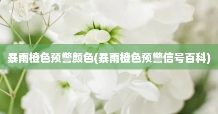 暴雨橙色预警颜色(暴雨橙色预警信号百科)