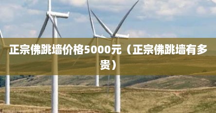 正宗佛跳墙价格5000元（正宗佛跳墙有多贵）