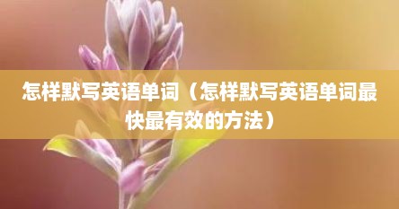 怎样默写英语单词（怎样默写英语单词最快最有效的方法）