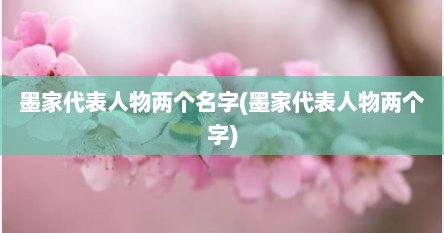 墨家代表人物两个名字(墨家代表人物两个字)