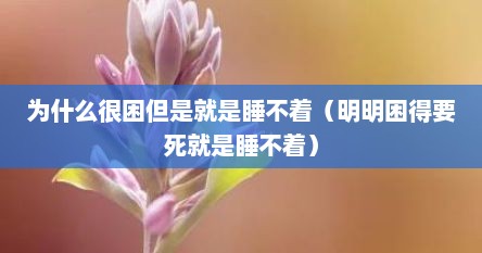 为什么很困但是就是睡不着（明明困得要死就是睡不着）