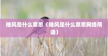 抽风是什么意思（抽风是什么意思网络用语）