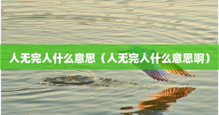 人无完人什么意思（人无完人什么意思啊）