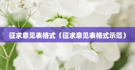 征求意见表格式（征求意见表格式示范）