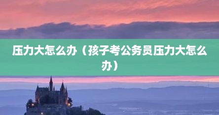 压力大怎么办（孩子考公务员压力大怎么办）