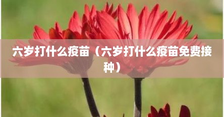 六岁打什么疫苗（六岁打什么疫苗免费接种）