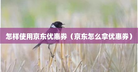 怎样使用京东优惠券（京东怎么拿优惠券）