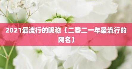 2021最流行的昵称（二零二一年最流行的网名）