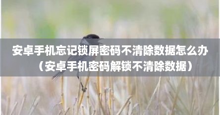 安卓手机忘记锁屏密码不清除数据怎么办（安卓手机密码解锁不清除数据）