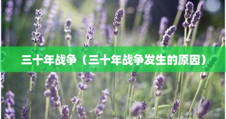 三十年战争（三十年战争发生的原因）