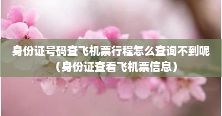 身份证号码查飞机票行程怎么查询不到呢（身份证查看飞机票信息）