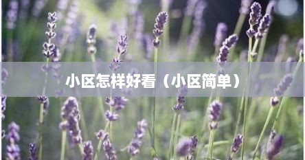 小区怎样好看（小区简单）
