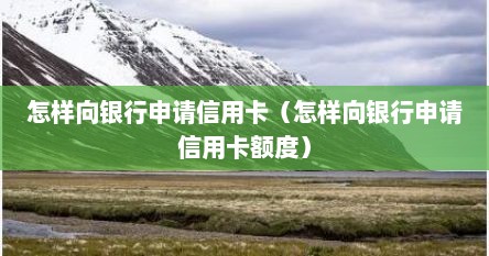 怎样向银行申请信用卡（怎样向银行申请信用卡额度）
