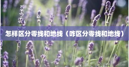 怎样区分零线和地线（咋区分零线和地线）