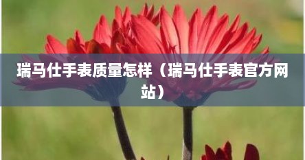 瑞马仕手表质量怎样（瑞马仕手表官方网站）