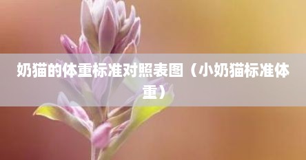 奶猫的体重标准对照表图（小奶猫标准体重）