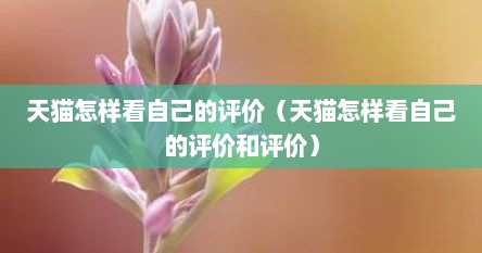 天猫怎样看自己的评价（天猫怎样看自己的评价和评价）