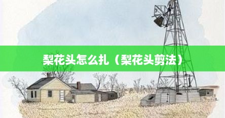 梨花头怎么扎（梨花头剪法）