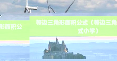 等边三角形面积公式（等边三角形面积公式小学）