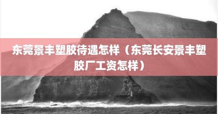 东莞景丰塑胶待遇怎样（东莞长安景丰塑胶厂工资怎样）