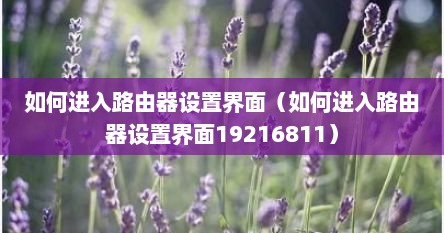 如何进入路由器设置界面（如何进入路由器设置界面19216811）