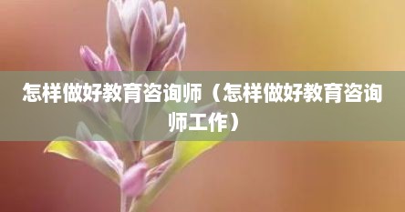 怎样做好教育咨询师（怎样做好教育咨询师工作）