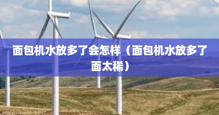 面包机水放多了会怎样（面包机水放多了面太稀）