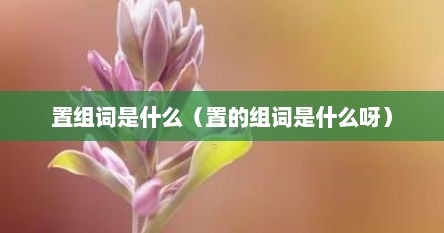 置组词是什么（置的组词是什么呀）