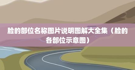 脸的部位名称图片说明图解大全集（脸的各部位示意图）