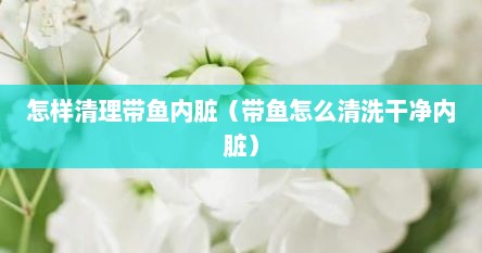 怎样清理带鱼内脏（带鱼怎么清洗干净内脏）