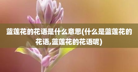 蓝莲花的花语是什么意思(什么是蓝莲花的花语,蓝莲花的花语呢)