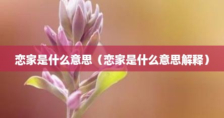 恋家是什么意思（恋家是什么意思解释）