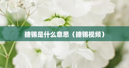 搪锡是什么意思（搪锡视频）