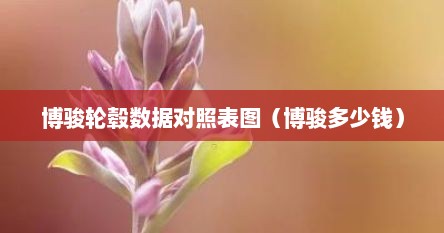 博骏轮毂数据对照表图（博骏多少钱）