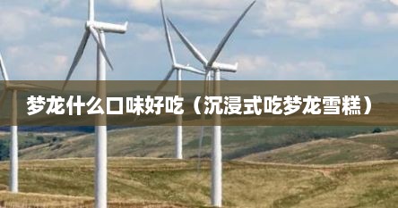 梦龙什么口味好吃（沉浸式吃梦龙雪糕）