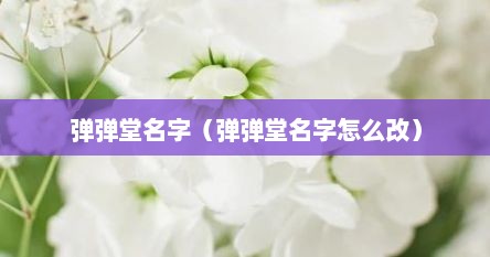 弹弹堂名字（弹弹堂名字怎么改）