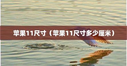 苹果11尺寸（苹果11尺寸多少厘米）