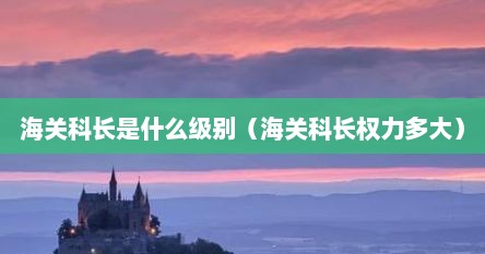 海关科长是什么级别（海关科长权力多大）