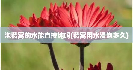 泡燕窝的水能直接炖吗(燕窝用水浸泡多久)