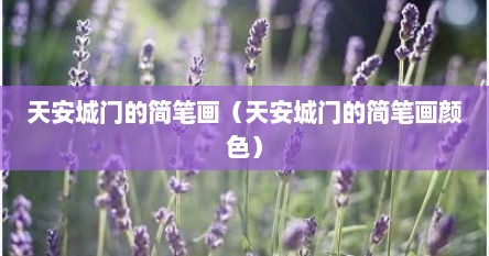 天安城门的简笔画（天安城门的简笔画颜色）